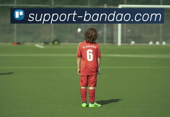 App Interface Preview