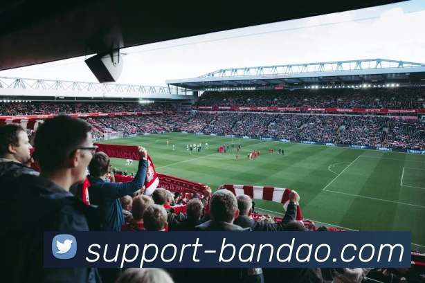 半岛体育官方网站APP 封面图